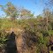 Entrada para Casa de Pedra, Faz. Brejo Escuro. © Todos os Direitos Reservados