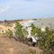 Praia de Touros