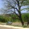 PARACATU - MG