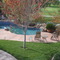 Lonley pool