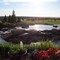 Golf Course at Del Webb