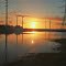 Vernal Pool Sunset