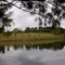 Lago