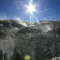 Wind Driven Snow in the forest