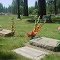 BURNEY Cemetary - Shasta County, California by PREMO