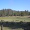 Near Burney CA