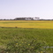 Campo Cerca Marcavelica 3