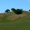 116. California landscape too
