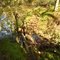 Merced River