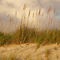 Along the beach just after sunrise