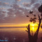 Indian River Lagoon Sunrise