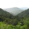 Carretera a Pto. Bermudez
