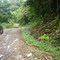 Carretera a Puerto Bermudez