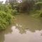 Riachuelo