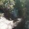 Blind Corner