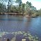 Green Camp Pond