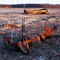Fallow Field