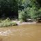 The River Raisin