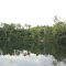 Tecumseh City Park Pond, Tecumseh, Michigan