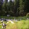 Cold Spring "Primitive Group Camp Area" - Dworshak Reservoir - Ahsahka, Idaho