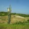 Tierras Coloradas - El Charan - La Cruz (Futura Pista Nacional de Motocross)
