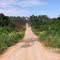Road from Puerto Ocopa to Puerto Prado.