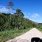 Road from Puerto Ocopa to Puerto Prado.