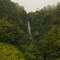 Catarata Delfin - Pozuzo