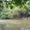 rio sisa