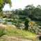 Natura Viva - Tarapoto