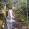 pucayaquillo,tarapoto