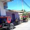 Casitas Selváticas