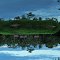 The monkey on the roof of the enchanted island - Puerto Palmeras