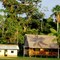 Nauta , casas