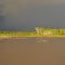 Amazon river, Marañón-Ucaialy confluence