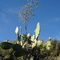  Llañupampa Aymares  Apurimac