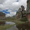 9      BOSQUE DE PIEDRA  CERRO DE PASCO - PERU
