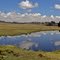 Santuario Nacional de Huayllay,Perú-Bosque de Piedras. 4310 msnm.