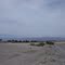 Dessert , on the way to dune 2 - Sandboarding in Arequipa - Peru Breathtaking Trips