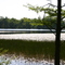 Carson Lake