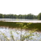 Carson Lake