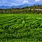 Jetepequete valley