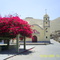 Plaza Yauca- Buganvilias