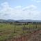 Novo Jardim 1