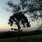 Araucaria, Paranà
