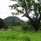 Pico Agudo
