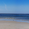 Cranes beach end june 2006