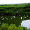 Rio Grande do Sul - Brasil