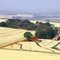 Cenário Rural (Agricultura)
