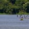 Rio Paranapanema/Biguás
